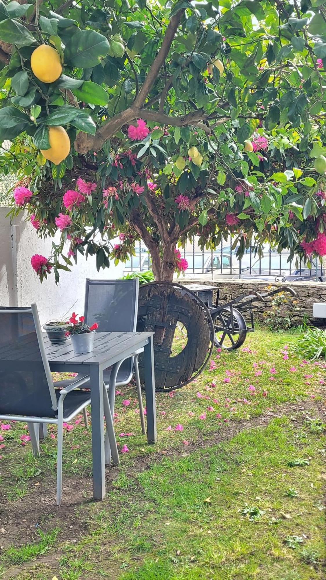 Besbello Suites Apartamento Santiago de Compostela Exterior photo